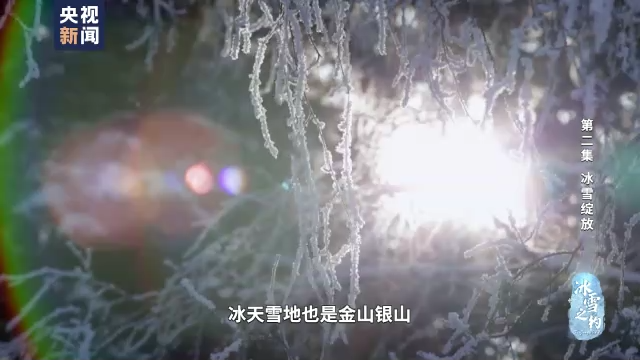 9622614937591894276.png